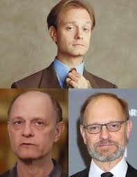 What is the zombie ant fungus?