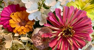 Maybe you would like to learn more about one of these? Toronto Gardens A Noun A Verb A Blog