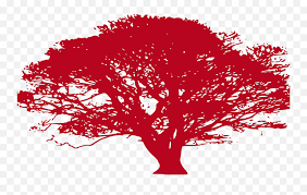 In this page you can find 38+ african tree silhouette vector images for free download. African Tree Clip Art Oak Tree Silhouette Png African Tree Png Free Transparent Png Images Pngaaa Com