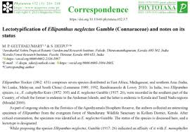 Image result for Ellipanthus