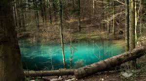 Parcul natural dumbrava sibiului ⭐ , romania, sibiu, dumbrava sibiului: Romania S National Parks And Natural Wonders Hereihike