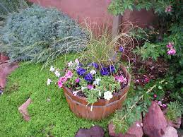A portion of its profits can be returned to the governing unit that owns it, to be used for public purposes with additional interest revenue retained to grow the bank. Ben Joanne S Garden In Rural New Mexico Finegardening