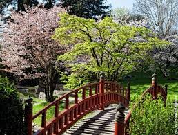 Les Jardins Japonais De Paris Jardin Japonais Paris Jardin Japonais Japonais Paris