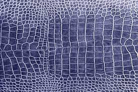 Maybe you would like to learn more about one of these? Dark Blue Crocodile Skin Texture As A Stock Image Colourbox