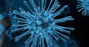 We would like to show you a description here but the site won't allow us. Corona Virus Ejot Com