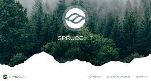 The result is a modern living room that. Spruce Int Linkedin