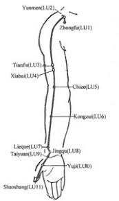 Acupuncture Com Acupuncture Points Lung 6