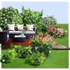 Les petits plants d'arbustes sont issus d'une pépinière professionnelle certifiée. Arbustes De La Terrasses Idees D Amenagement Truffaut