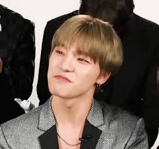 Main dancer, sub vocalist, sub rapper, maknae birthday: Dino Lee Chan Gif Dino Lee Chan Seventeen Discover Share Gifs