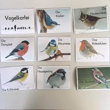 Bilderkartei Uber Heimische Standvogel Die Kinder Mussen Ein Vogelmemory Losen U Unterrichtsmaterial Grundschule Kindergartenthemen Sachunterricht Grundschule