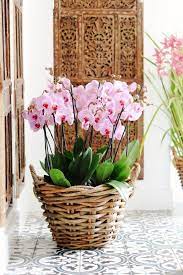 Pin On Home And Decor