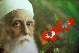 Southwest Colorado Baha'i (@SWColoradoBahai) • Facebook