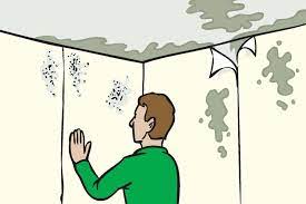 How To Treat Damp Walls (Simple Steps) - With Pictures