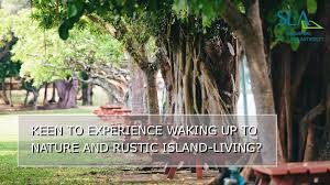 Singapore Land Authority St John S Island Lodge Facebook