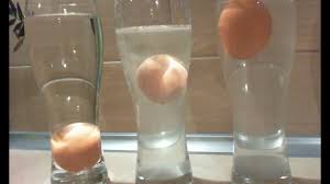 eggs & salt water float an egg in the