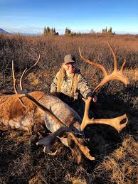 Mountain Caribou Hunt 2021 British Columbia Canada Bookyourhunt Com