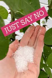 Use one tablespoon per gallon of water if you apply epsom salt spray more often than once a month. Epsom Salt For Plants Is It Really Such A Great Idea In The Garden Home For The Harvest