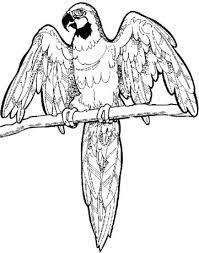 Free rio 2 coloring pages brazil hallway decorations. Jungle Coloring Pages Jungle Coloring Pages Coloring Pages Animal Coloring Pages