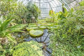 Basel Botanische Garten In Basel