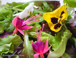 Check spelling or type a new query. Edible Flowers List Of Types And Uses Bravocooking Com