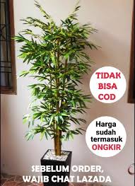 Jika tersalah deko, ruang mungkin akan nampak lebih kecil dan berserabut. Termurah Pohon Bambu Plastik Artificial Palsu Tinggi 120 Cm Pohon Hias Plastik Pohon Plastik Besar Bunga Plastik Pohon Sudut Dekorasi Rumah Dekorasi Ruang Hiasan Ruang Tamu Lazada Indonesia