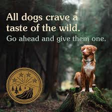 Taste Of The Wild Grain Free High Protein Real Meat Recipe Premium Dry Dog Food