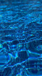 12 Blue Wallpapers For Your Blue Iphone Xr Preppy Wallpapers Dark blue pattern, muscari flowers, blue frog, blue and black fish, blue flowers, deep blue lines, custom blue, seascape, crystal blue ocean, yellow flower on dark blue background, dog and cat on blue background.
