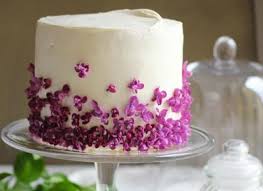 Sammlung von angelika hannig • zuletzt aktualisiert: Herrliche Torten Zu Ostern Oder Anderen Festen Familien Welt De