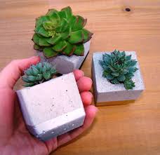 Succulent Wedding Favour Concrete Planter Trio Gold Succulent Pot Plant Favour Boho Succule Succulent Wedding Favors Plant Wedding Favors Succulent Wedding