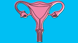 It can help find a mass (tumor) in the ovary, but it can't actually tell if a mass is cancer or benign. You Might Be Missing This Common Sign Of Ovarian Cancer