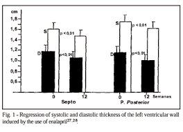 Scielo Brasil Left Ventricular Hypertrophy In Systemic Hypertension Benefits Of Its Reversal Left Ventricular Hypertrophy In Systemic Hypertension Benefits Of Its Reversal