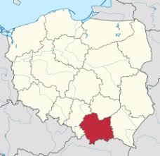 Gwarantuje krajowym, a także zagranicznym przedsiębiorcom dostęp do rzetelnej informacji oraz wsparcie w realizacji inwestycji. Wojewodztwo Malopolskie Wikipedia Wolna Encyklopedia