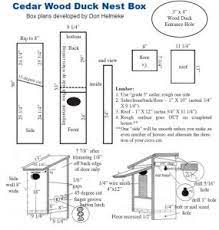Wood duck nest box plans and maintenance. Wood Duck Basics Bluebirds Across Nebraska