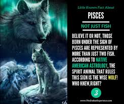 Of Course Only A Wolf Can Be The One To Lead Crowds And Only A Wolf Alone Can Fight Anything It Never Runs Zodiac Signs Pisces Astrology Pisces Pisces Zodiac
