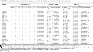 78 Ageless Identification Of Bacteria Pdf