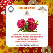 Pinterest catherine✨ some great wedding flower ideas flowers play a sizeable position in setting the theme of your complete wedding ceremony and they without difficulty end up the center of attraction. Peony Flowers In 2021 Feng Shui Feng Shui Love Corner Marriage Proposals