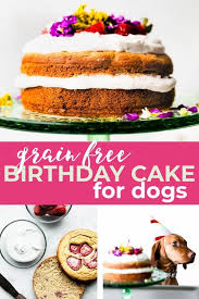 They're super easy to make and you'll impress all the dogs in the neighborhood. Birthday Cake For Dogs Grain Free Recipe Cotter Crunch