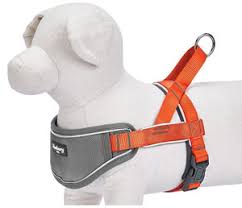 Best Dog Harness For Running 2019 Jog With Your Pup