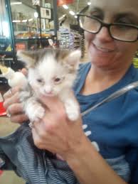Chance the Comfort Dog visited our dispatch center last week. Chance then  participated in the first day of comfort dog training. #EPDEngages