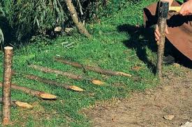 Check spelling or type a new query. Pletieme Dekoracny Plotik Z VÅ•boveho Prutia Navod Schemy Pletenia Ostatne Majstrovanie Hobby Portal