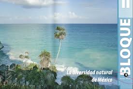 Si quieres descargarlo, el proceso es muy sencillo: Tulum Yucatan Los Peores Errores De Los Libros De Texto
