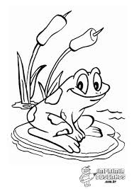 Sapo Para Colorir Imprimir Desenhos