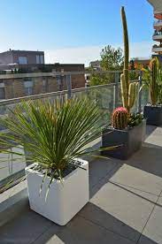 Comment planter et entretenir un arbuste persistant les fleurs arbustes plantes d hiver pour jardinière kit de haie croissance rapide 10 m pots 2 à 4 jasmin : Epingle Sur Terraces