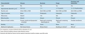 Visit our website for more information about our services or to speak to an expert. Bacteria Compared With Other Microorganisms Review Of Medical Microbiology And Immunology 13th Edition