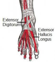 Pin On Joint Pain Relief