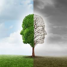Bipolar disorder is a brain disorder that causes changes in a person's mood, energy, and ability to function. Bipolar Disorder Treatment St Louis Park Psychiatry Clinic
