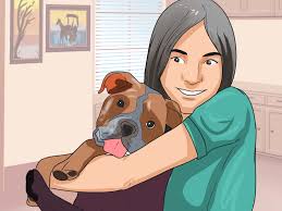 You need to choose which animal shelter not all jobs require directly interacting with the animals, though. 3 Ways To Volunteer At An Animal Shelter Wikihow