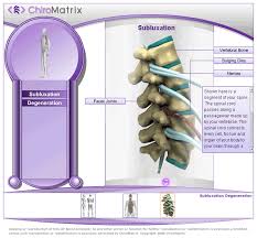 Chiropractic Websites And Marketing Services Chiromatrix