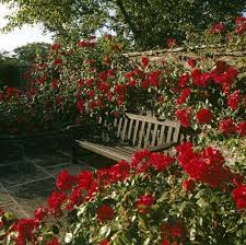 All of our food is made from fresh and quality ingredients every day. A Garden Seat Surrounded By Red Roses In The Walled Rose Garden At Compton Castle Description From Red Roses Garden Garden Seating Outdoor Garden Furniture
