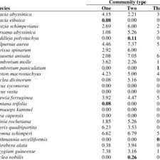 Image result for Ophrestia radicosa